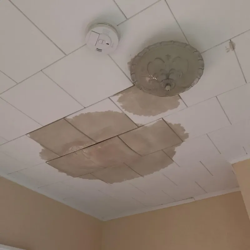 Ceiling Water Damage Repair in Crab Orchard, WV