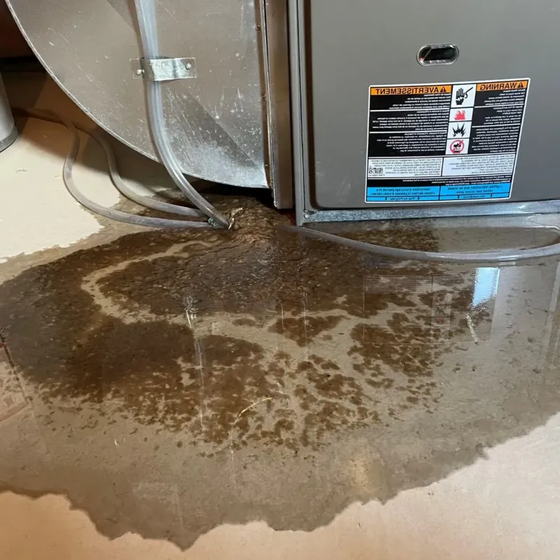 Pipe Burst and Leak Restoration in Crab Orchard, WV