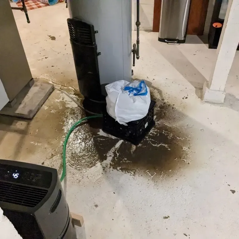 Sewage Backup Cleanup Service in Crab Orchard, WV
